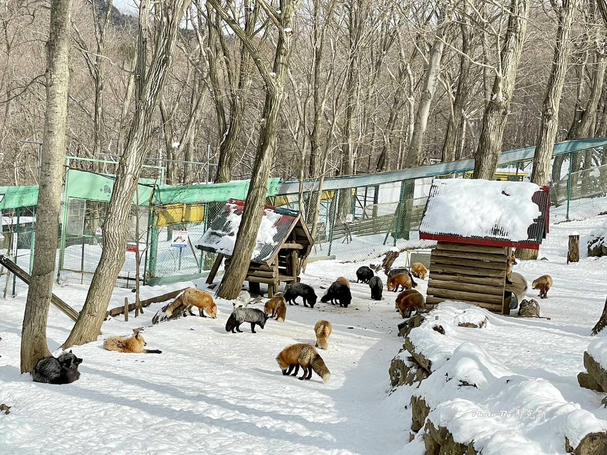 IMG_8040_調整大小.jpg IMG_8040_調整大小.jpg