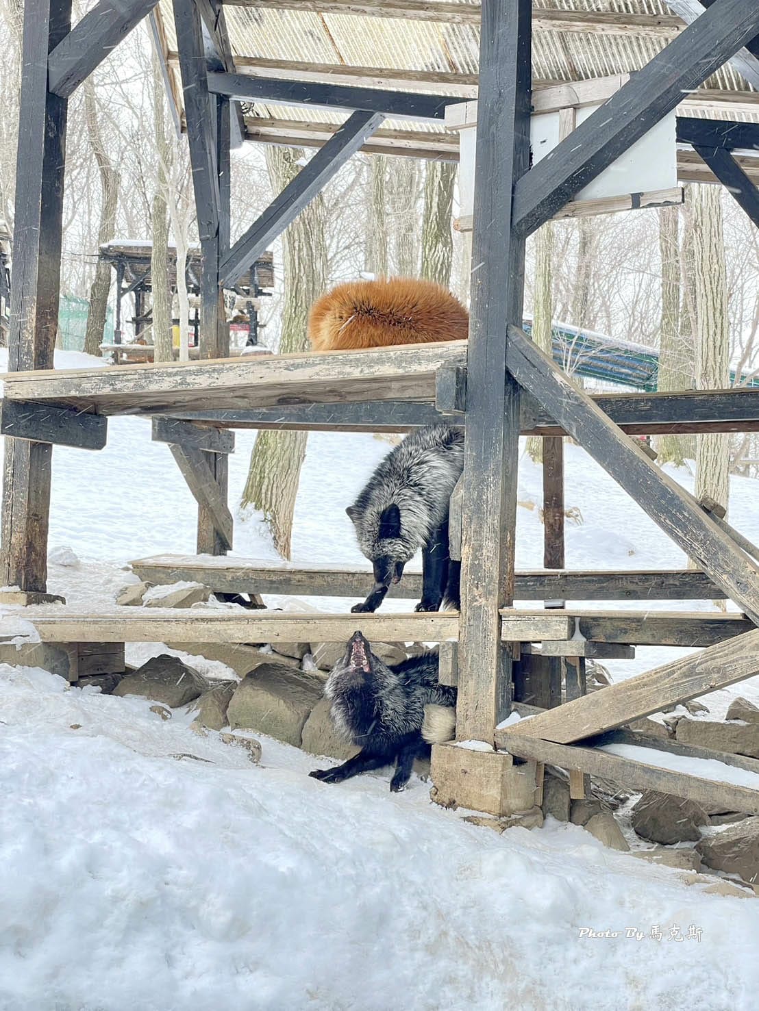 IMG_8073_調整大小.jpg IMG_8073_調整大小.jpg