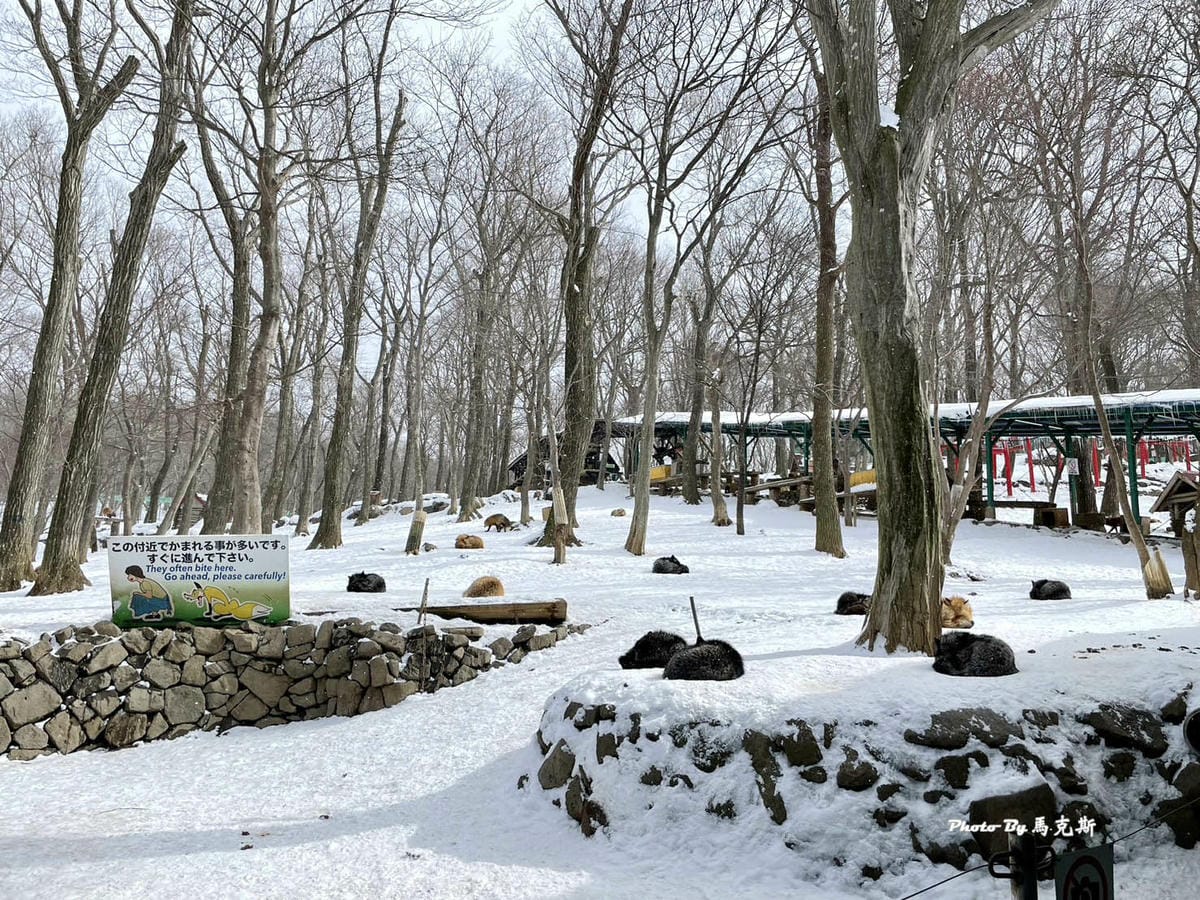 IMG_8037_調整大小.jpg IMG_8037_調整大小.jpg