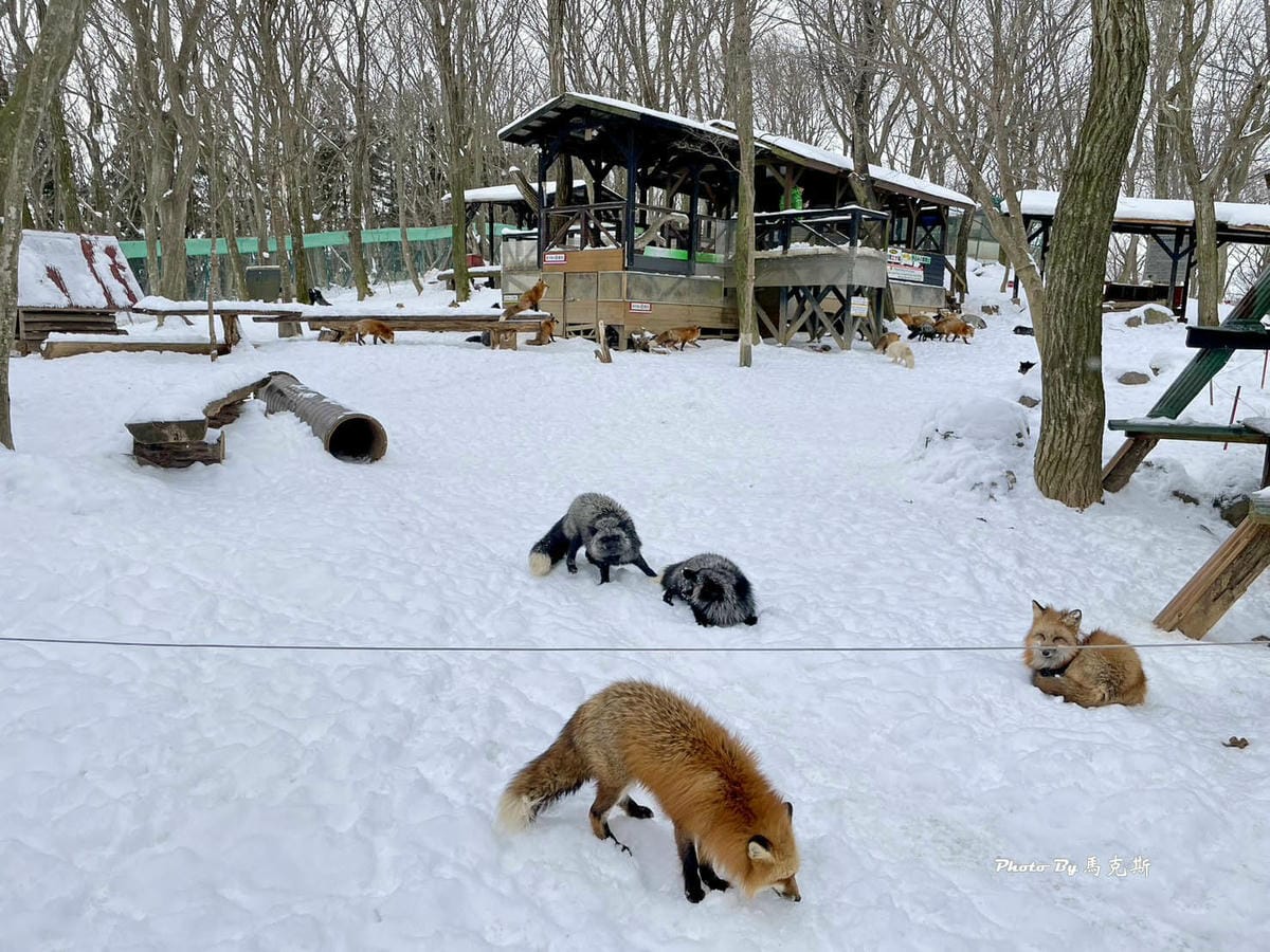 IMG_8097_調整大小.jpg IMG_8097_調整大小.jpg