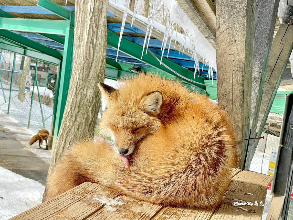 IMG_8043_調整大小.jpg IMG_8043_調整大小.jpg