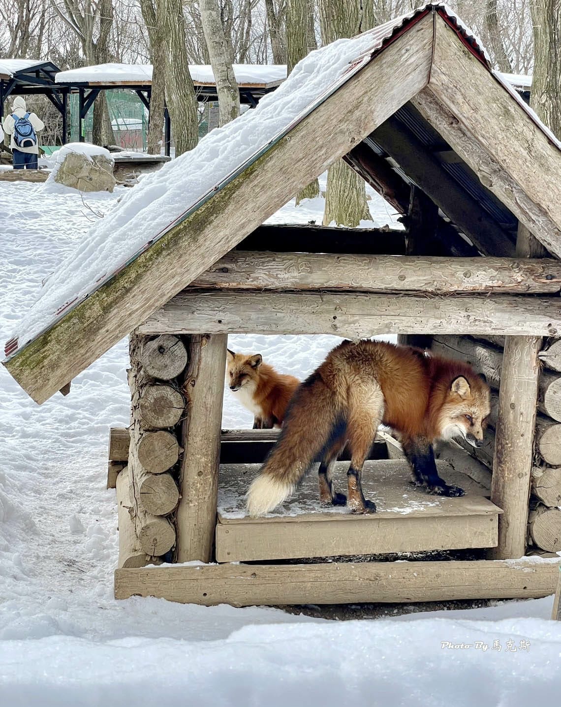 IMG_8048_調整大小.jpg IMG_8048_調整大小.jpg