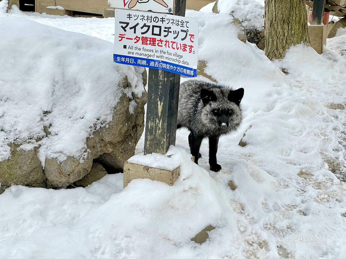 IMG_8058_調整大小.jpg IMG_8058_調整大小.jpg