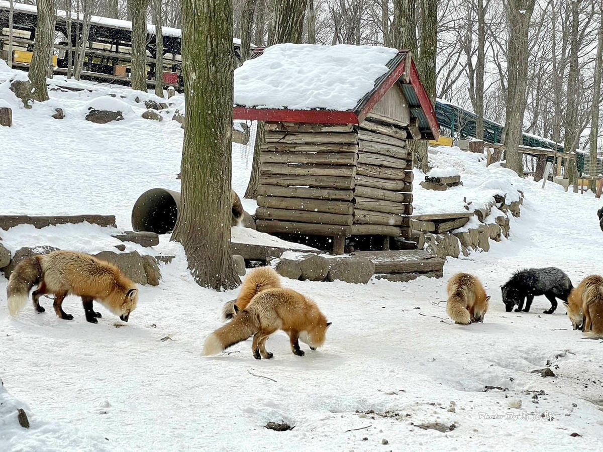 IMG_8055_調整大小.jpg IMG_8055_調整大小.jpg