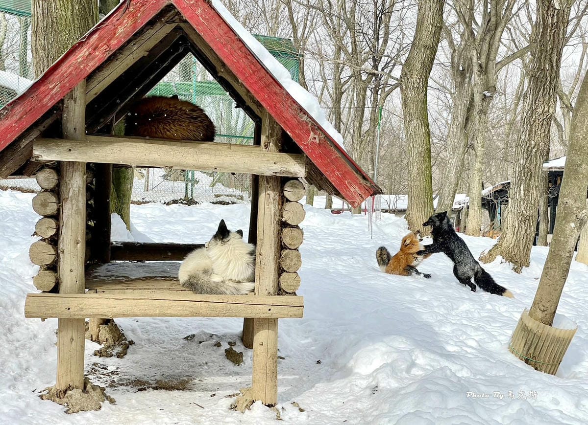 IMG_8067_調整大小.jpg IMG_8067_調整大小.jpg