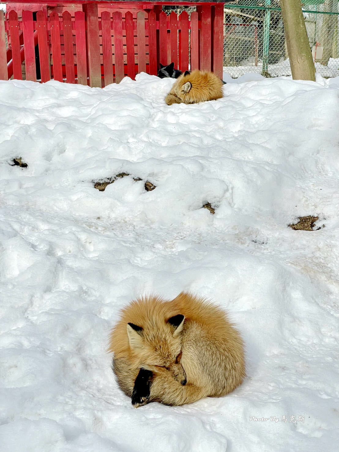 IMG_8063_調整大小.jpg IMG_8063_調整大小.jpg