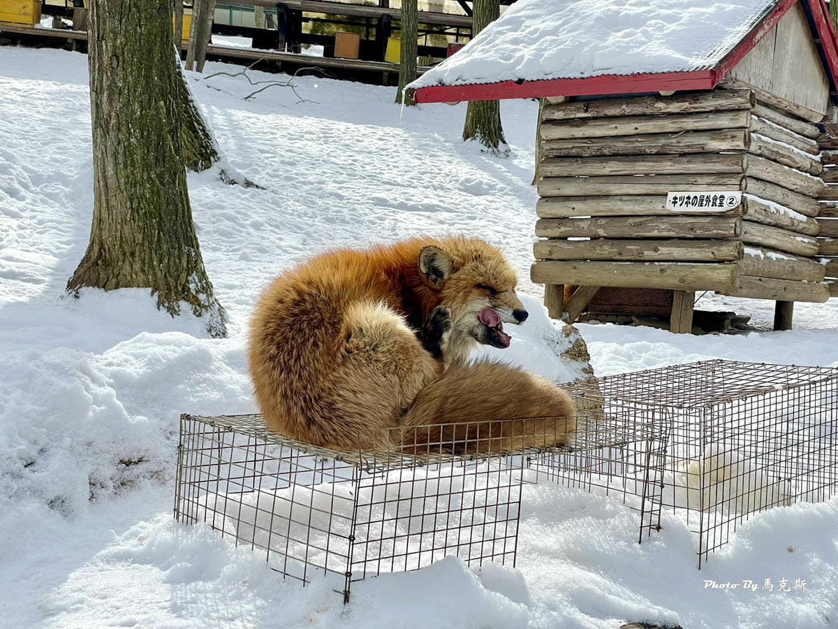 IMG_8046_調整大小.jpg IMG_8046_調整大小.jpg