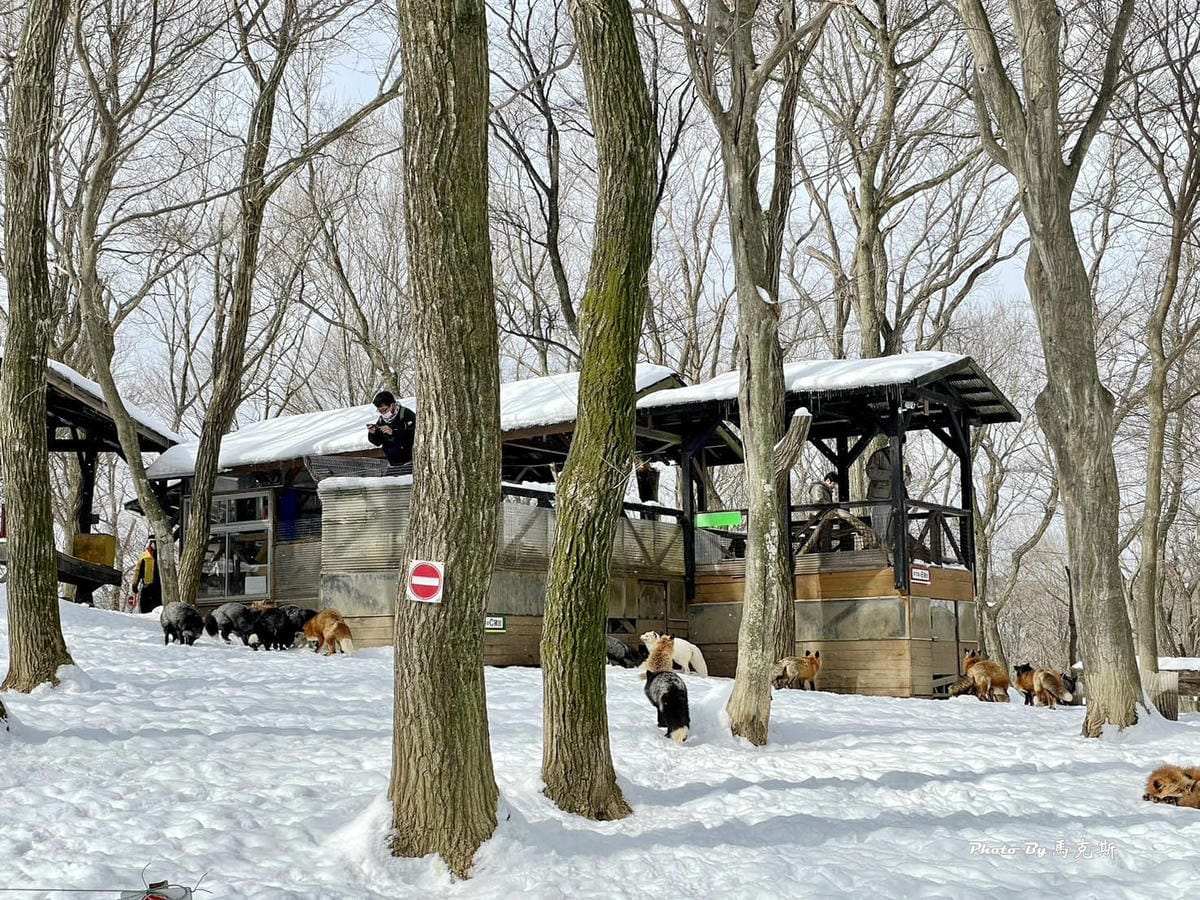 IMG_8080_調整大小.jpg IMG_8080_調整大小.jpg