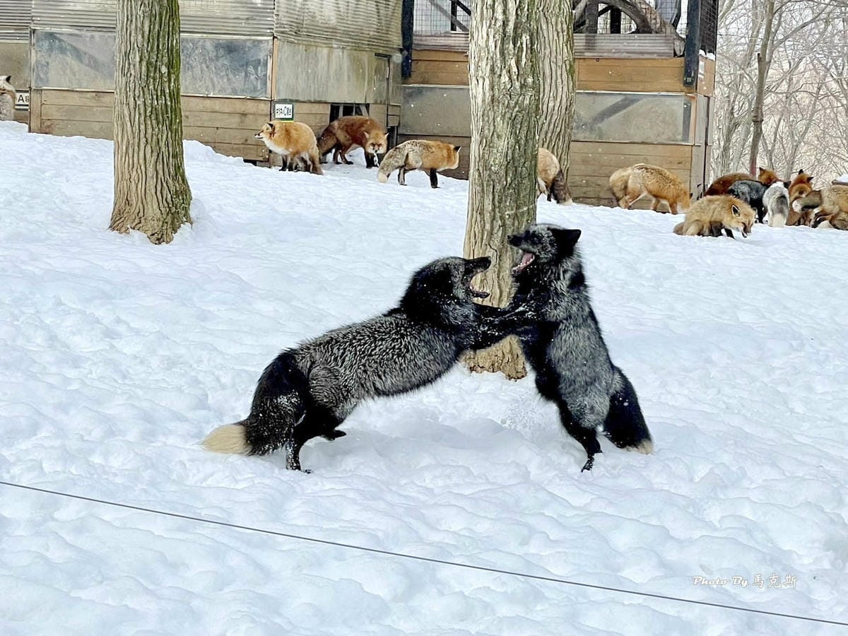 IMG_8070_調整大小.jpg IMG_8070_調整大小.jpg