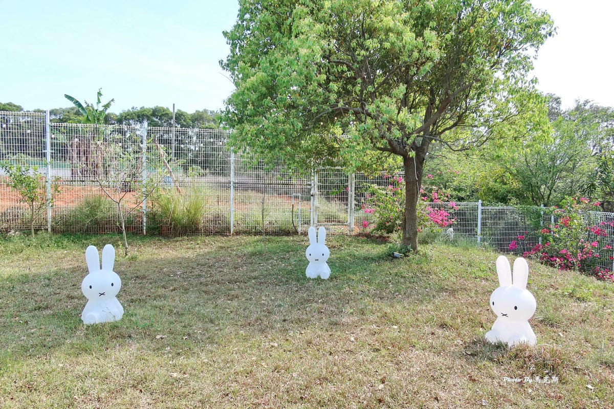 IMG_1453_調整大小.jpg IMG_1453_調整大小.jpg