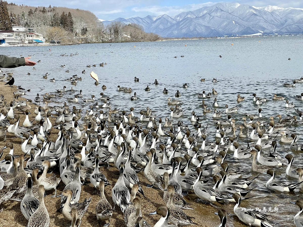 IMG_7326_調整大小.jpg IMG_7326_調整大小.jpg