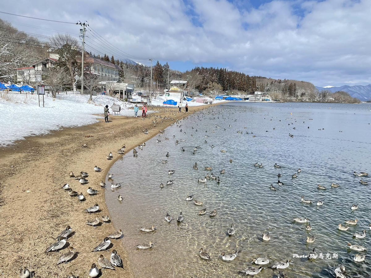 IMG_7305_調整大小.jpg IMG_7305_調整大小.jpg