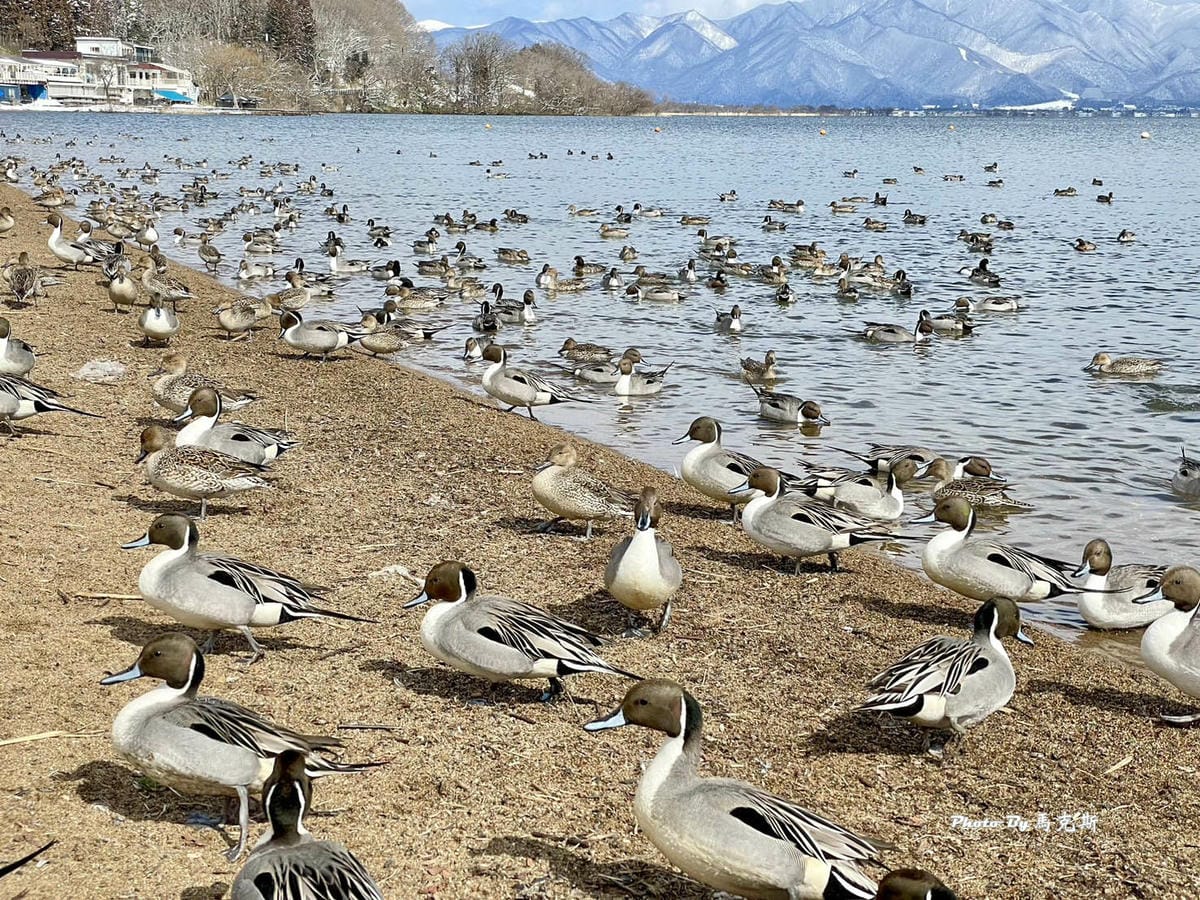 IMG_7316_調整大小.jpg IMG_7316_調整大小.jpg