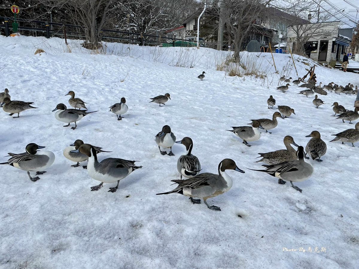 IMG_7330_調整大小.jpg IMG_7330_調整大小.jpg