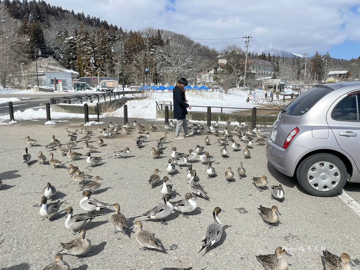 IMG_7308_調整大小.jpg IMG_7308_調整大小.jpg