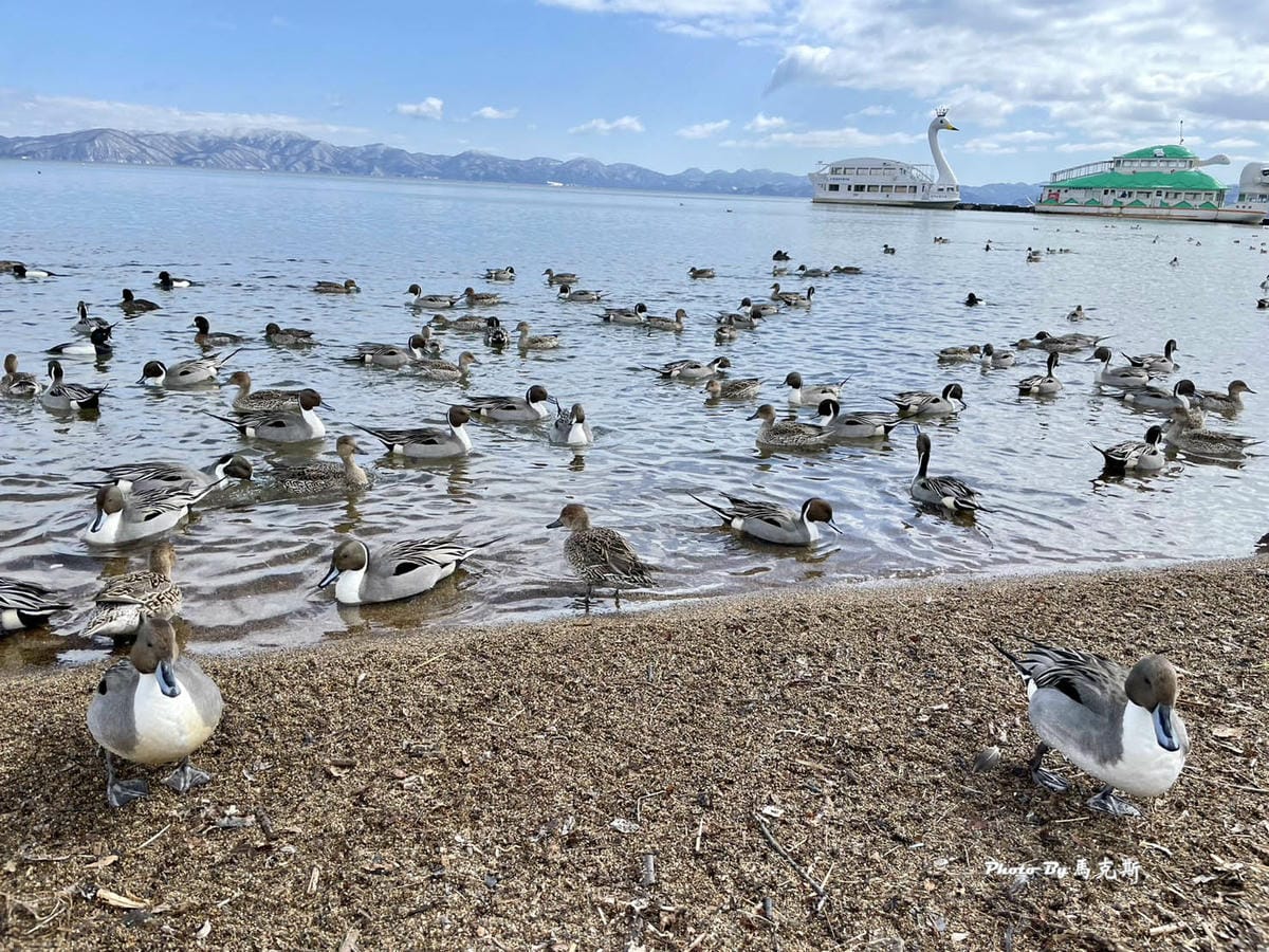 IMG_7336_調整大小.jpg IMG_7336_調整大小.jpg