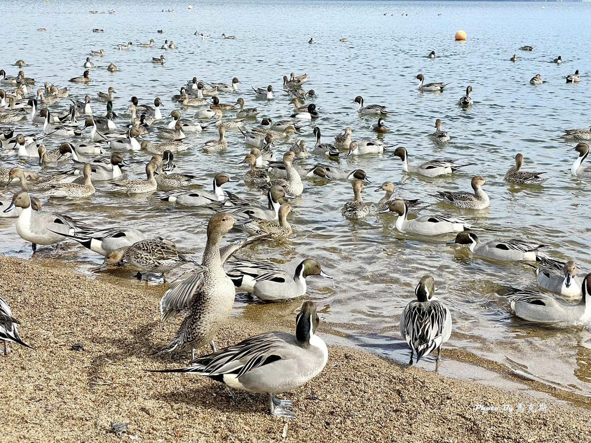 IMG_7318_調整大小.jpg IMG_7318_調整大小.jpg