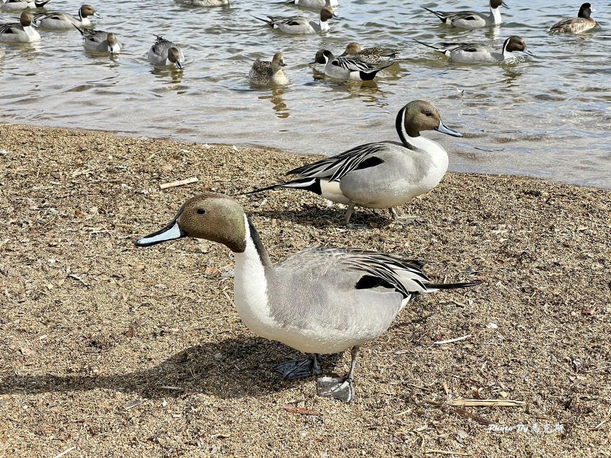 IMG_7320_調整大小 (2).jpg IMG_7320_調整大小 (2).jpg