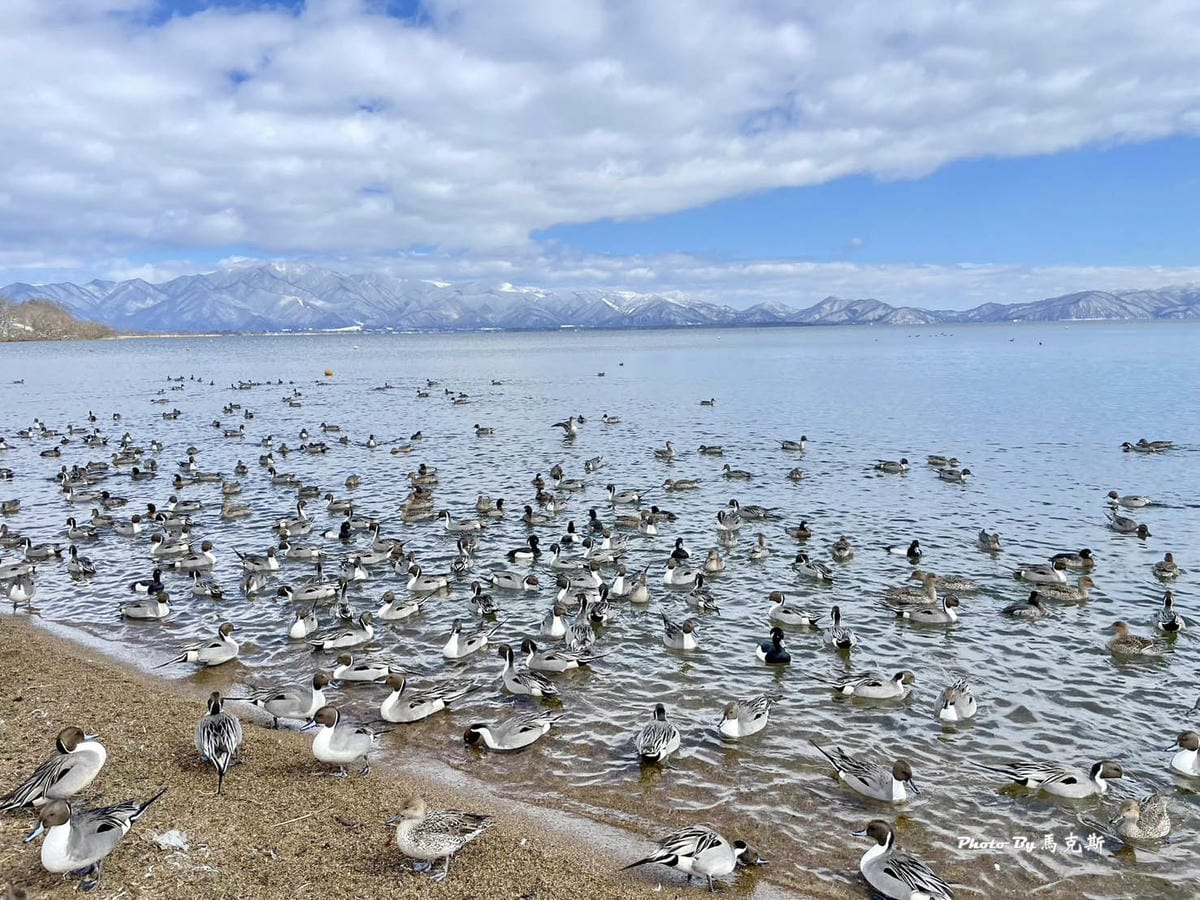 IMG_7313_調整大小.jpg IMG_7313_調整大小.jpg