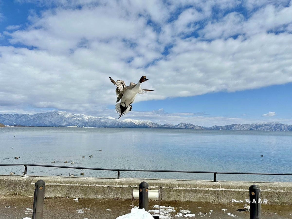 IMG_7350_調整大小.jpg IMG_7350_調整大小.jpg