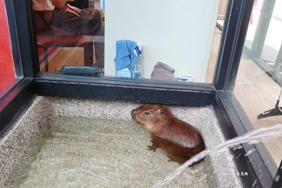 IMG_7414_調整大小.jpg IMG_7414_調整大小.jpg