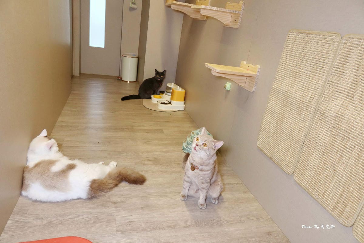 IMG_7413_調整大小.jpg IMG_7413_調整大小.jpg