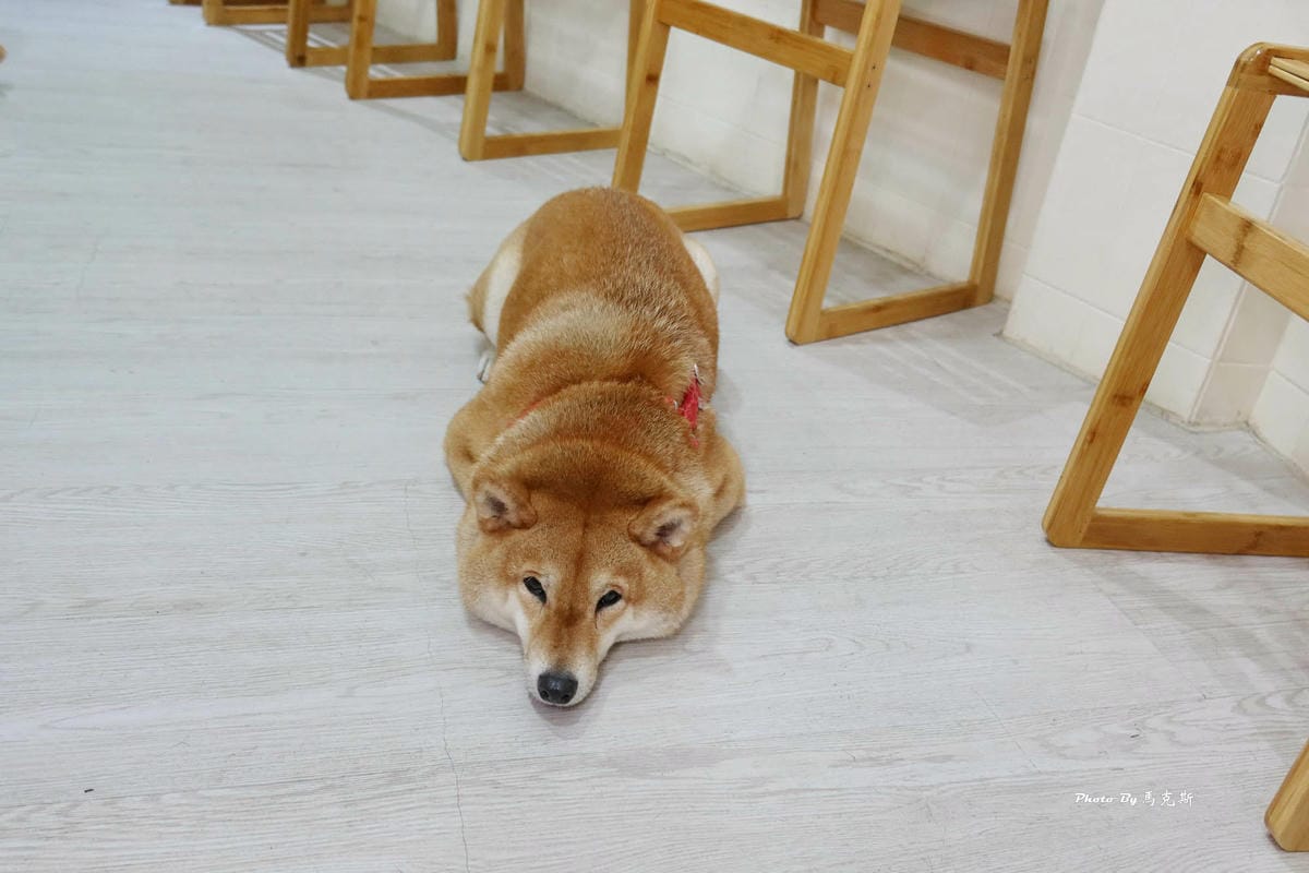 IMG_6326_調整大小.jpg IMG_6326_調整大小.jpg