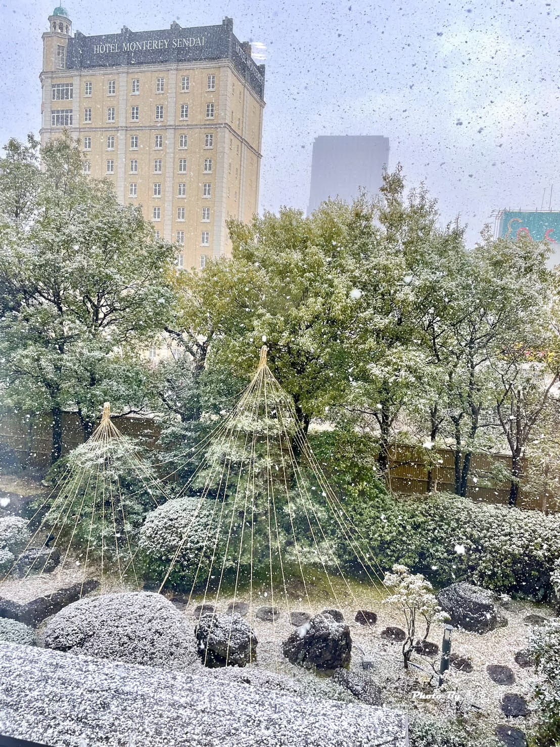 IMG_7370_調整大小.jpg IMG_7370_調整大小.jpg