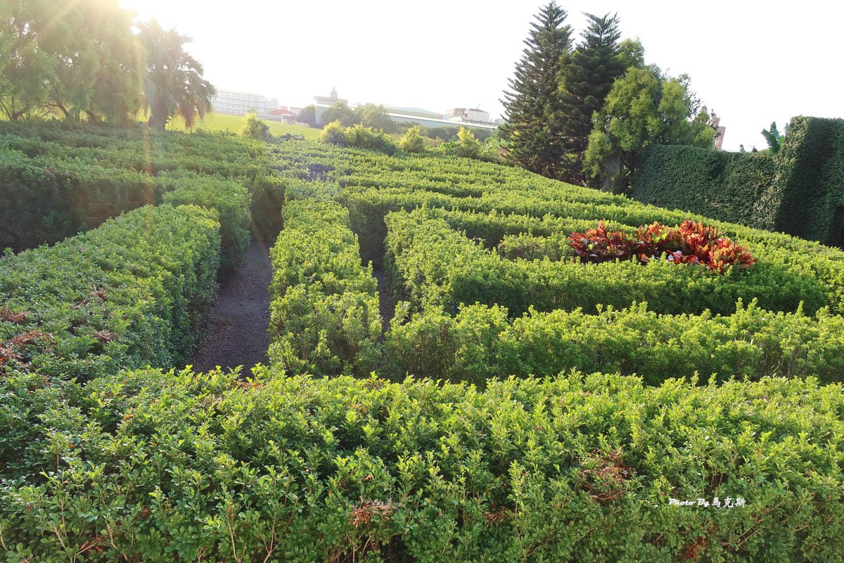 IMG_9456_調整大小 (2).jpg