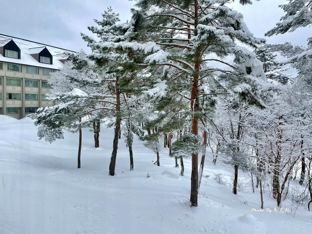 IMG_8048_調整大小.jpg IMG_8048_調整大小.jpg