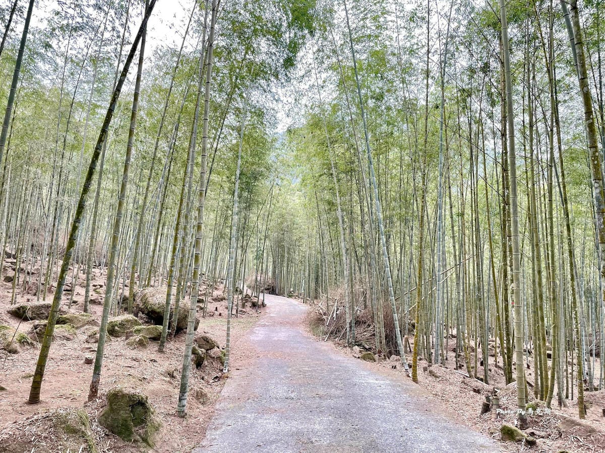 IMG_1410_調整大小.jpg IMG_1410_調整大小.jpg