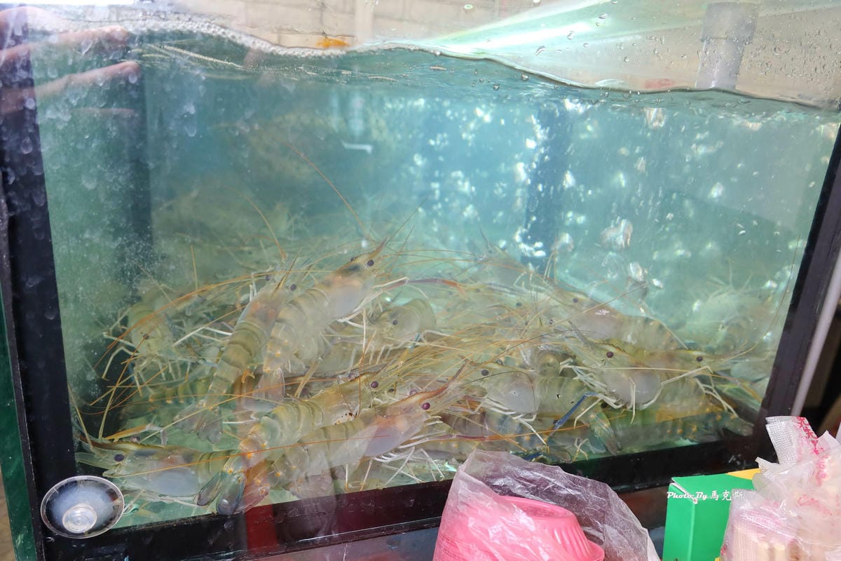 IMG_3174_調整大小.jpg IMG_3174_調整大小.jpg