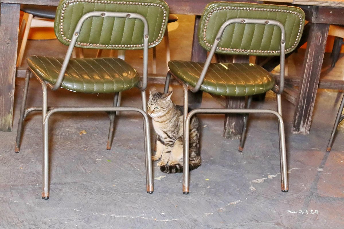 IMG_5274_調整大小.jpg IMG_5274_調整大小.jpg