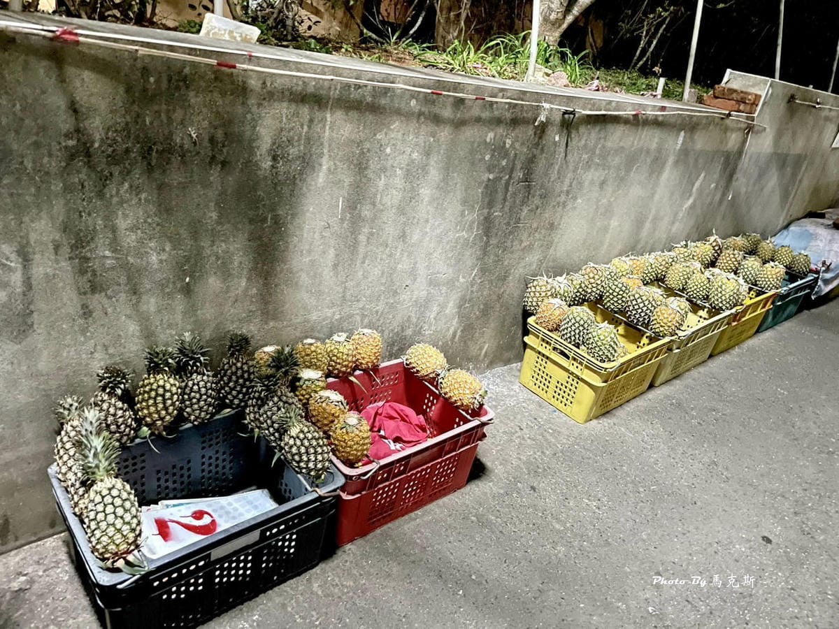 IMG_8115_調整大小.jpg IMG_8115_調整大小.jpg