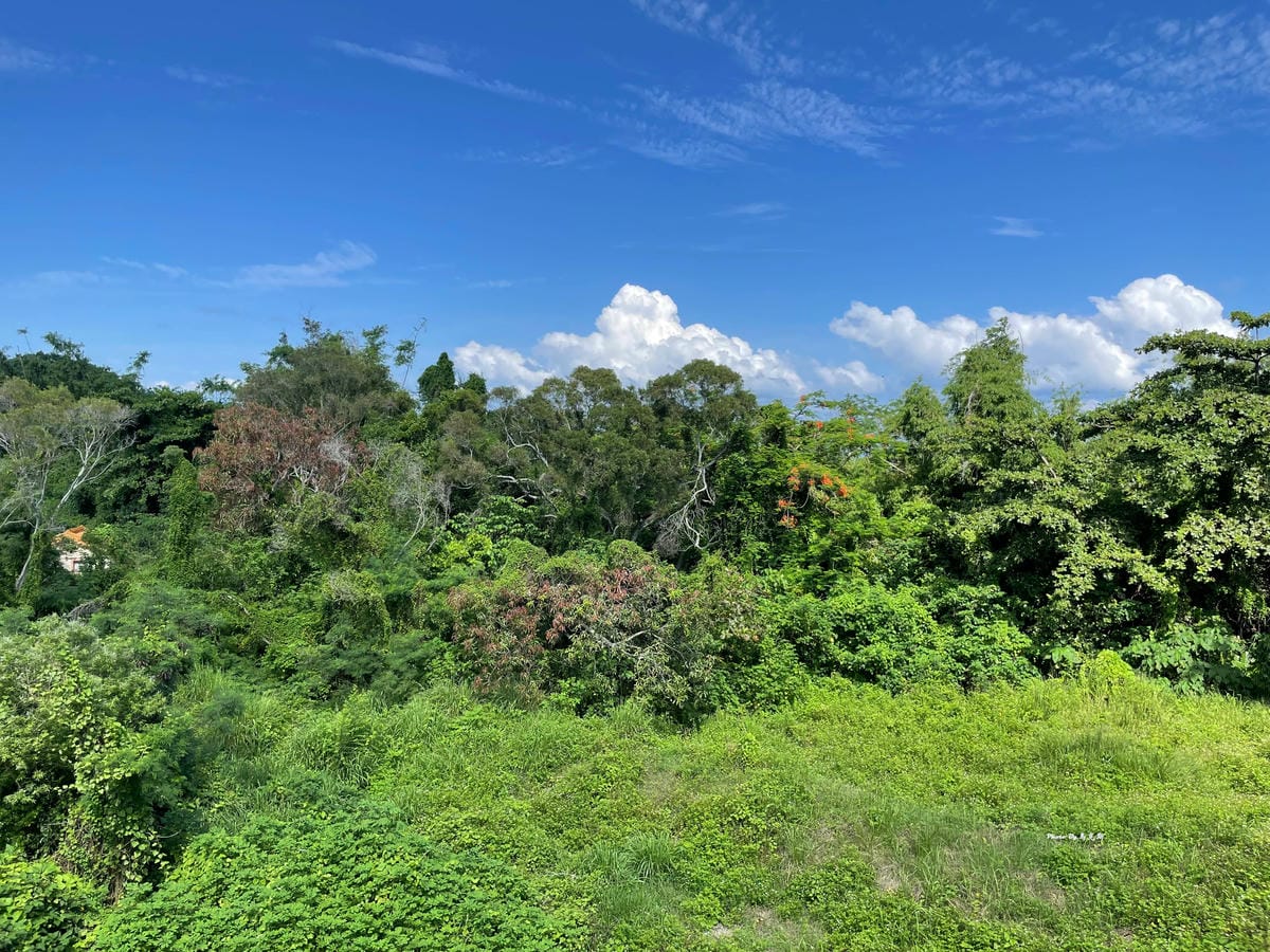 IMG_6095_調整大小 (2).jpg