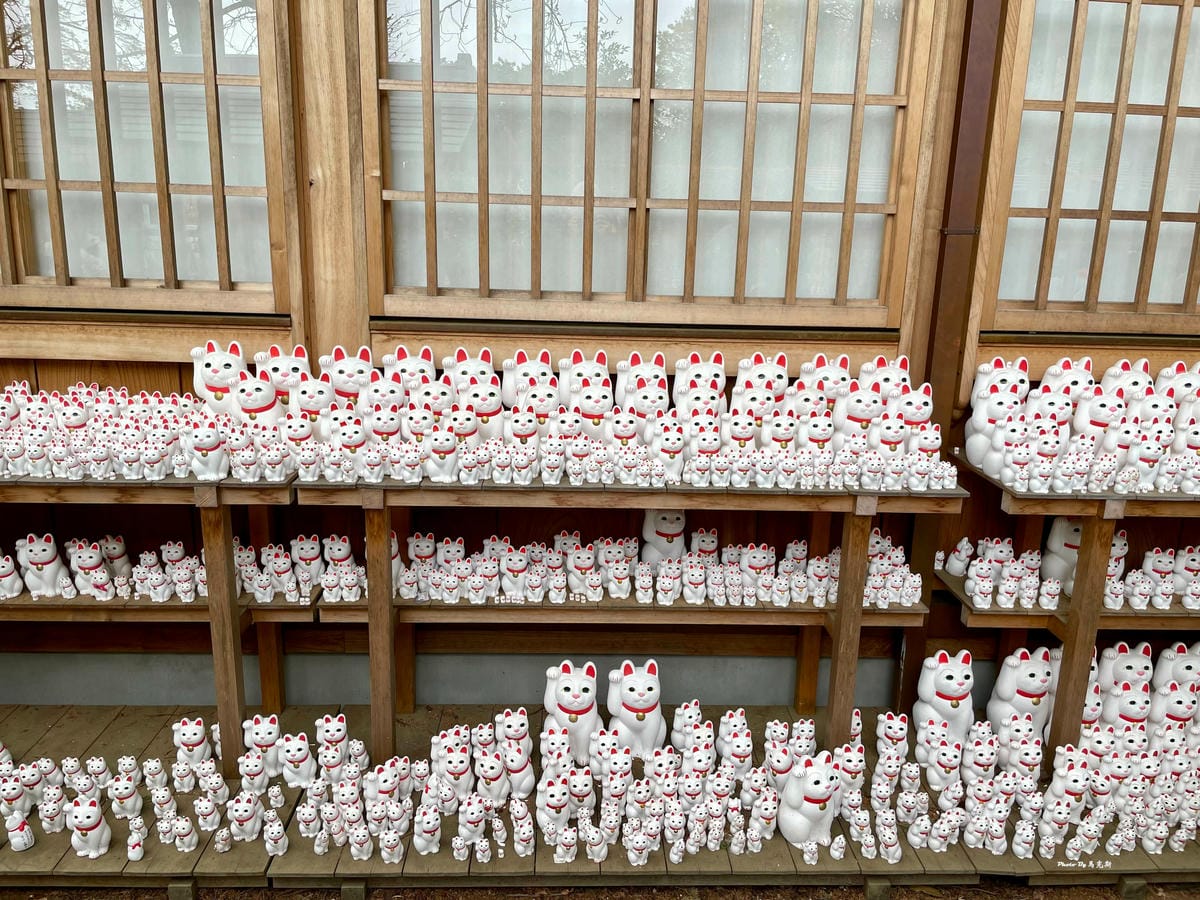 IMG_7374_調整大小.jpg IMG_7374_調整大小.jpg