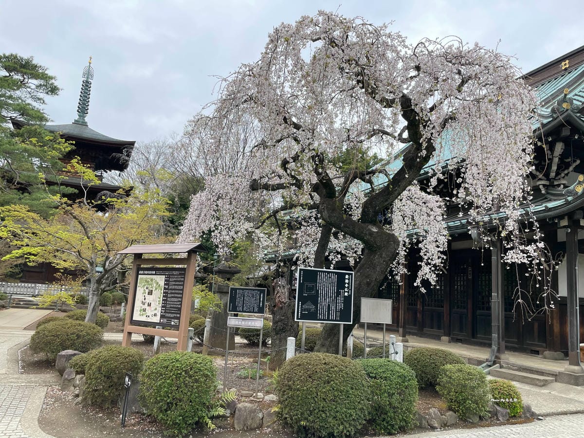 IMG_7350_調整大小.jpg IMG_7350_調整大小.jpg