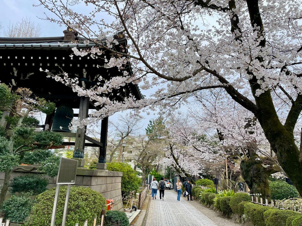 IMG_7434_調整大小.jpg IMG_7434_調整大小.jpg