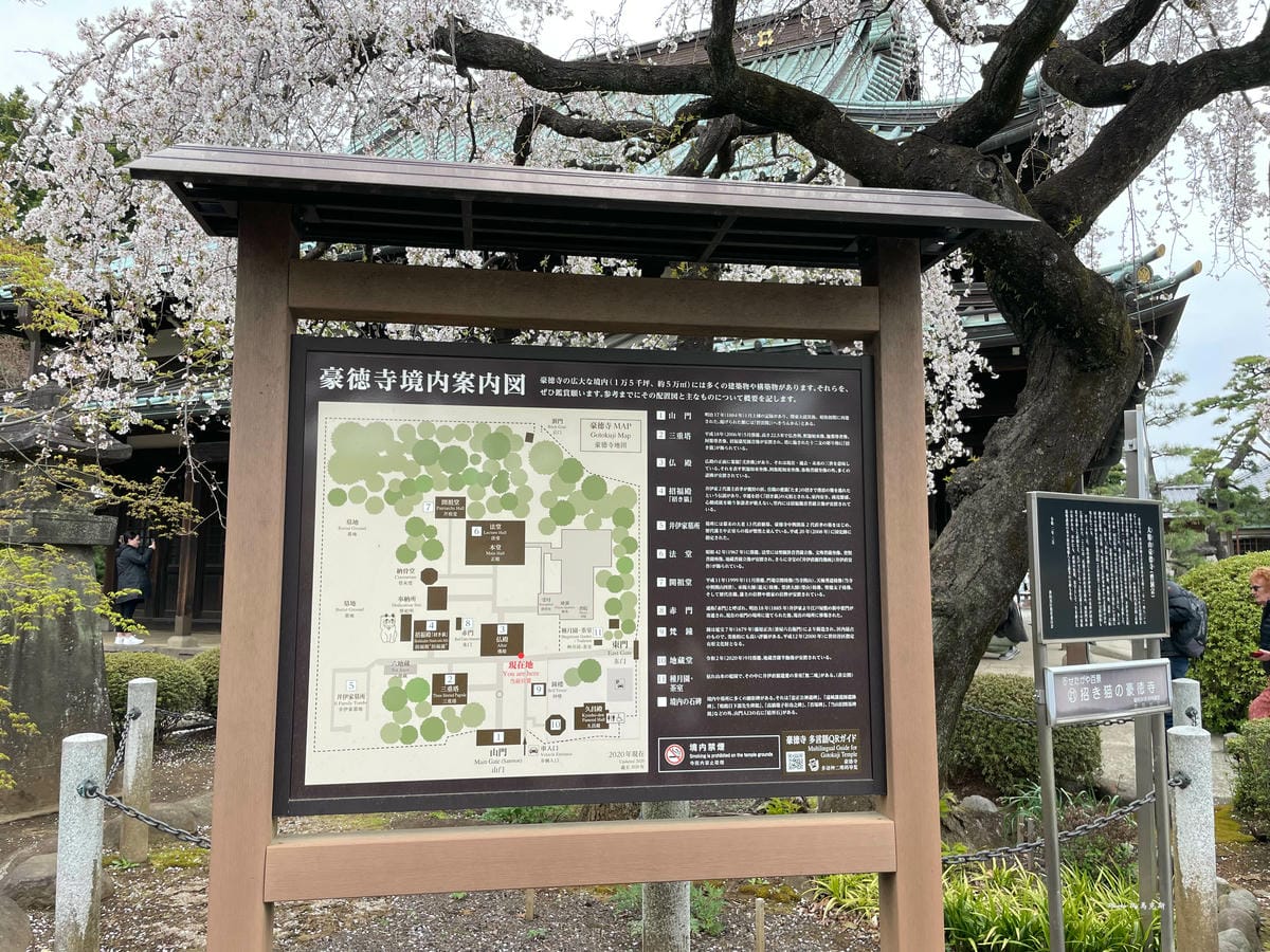 IMG_7347_調整大小.jpg IMG_7347_調整大小.jpg