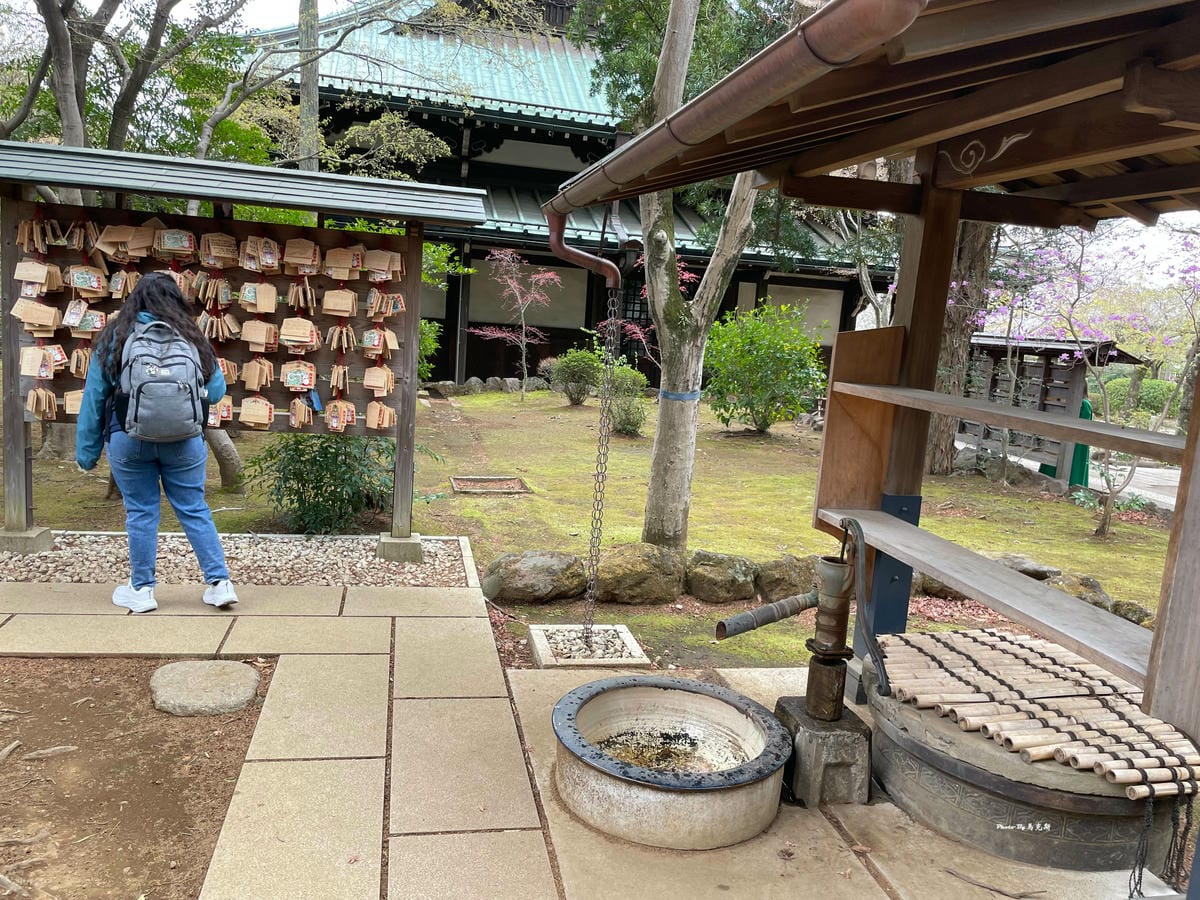 IMG_7369_調整大小.jpg IMG_7369_調整大小.jpg