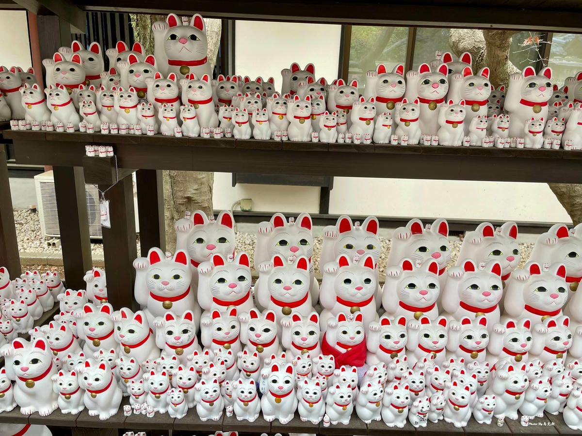 IMG_7377_調整大小.jpg IMG_7377_調整大小.jpg