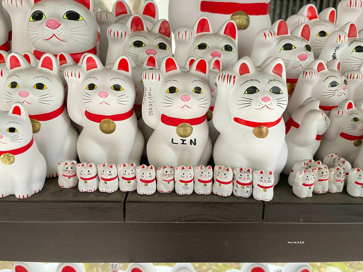 IMG_7379_調整大小.jpg IMG_7379_調整大小.jpg