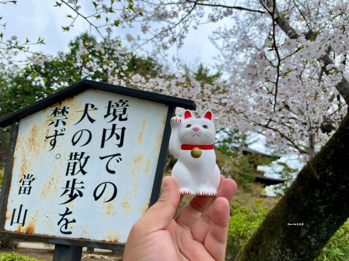 IMG_7447_調整大小.jpg IMG_7447_調整大小.jpg