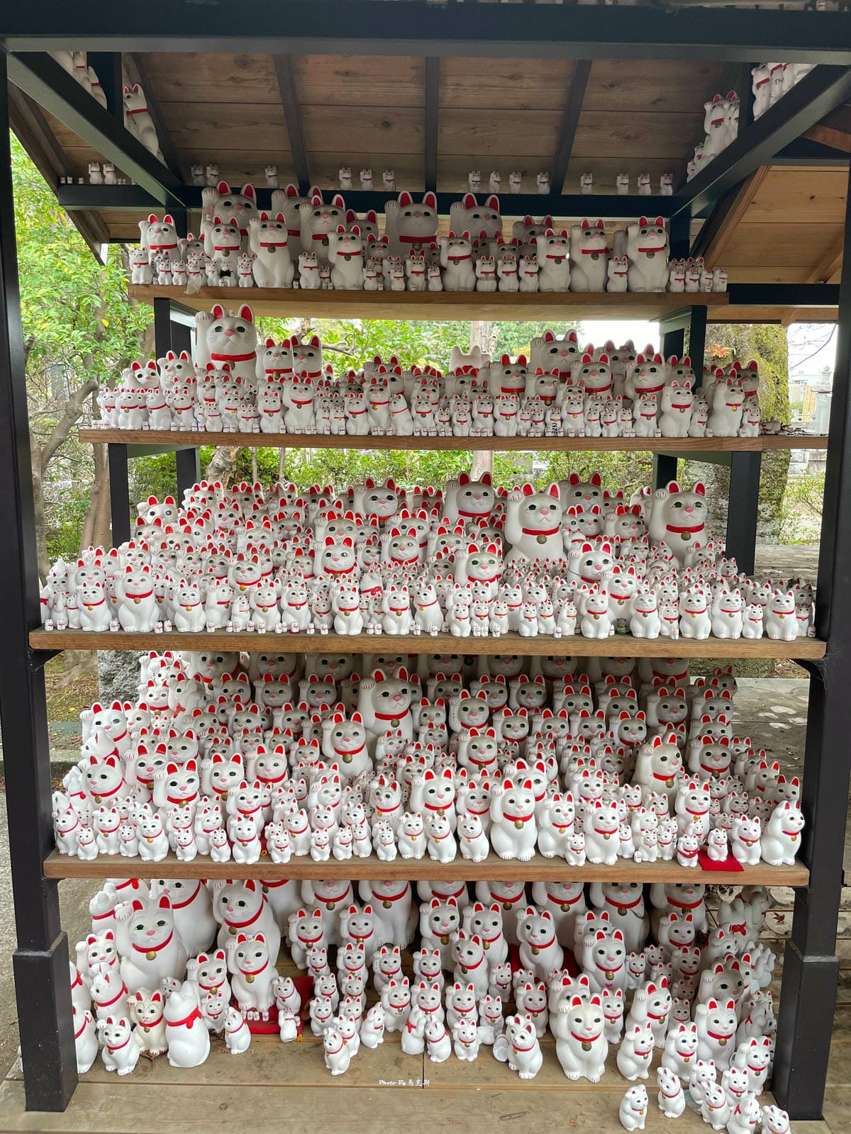 IMG_7385_調整大小.jpg IMG_7385_調整大小.jpg