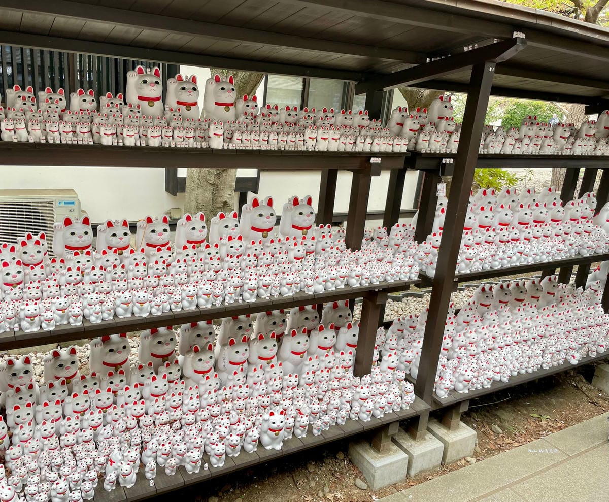 IMG_7376_調整大小.jpg IMG_7376_調整大小.jpg