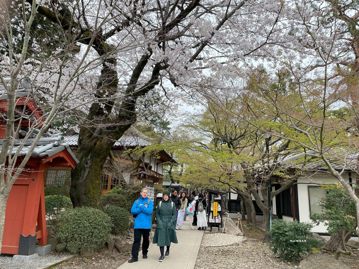 IMG_7395_調整大小.jpg IMG_7395_調整大小.jpg