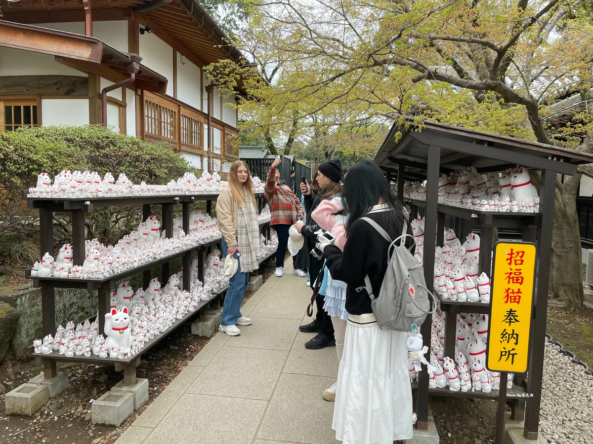 IMG_7392_調整大小.jpg IMG_7392_調整大小.jpg