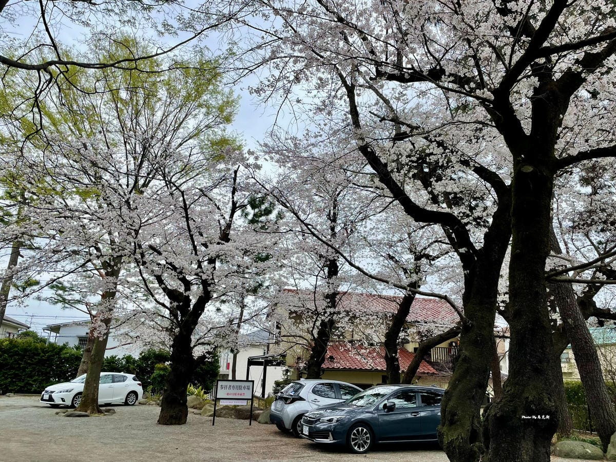 IMG_7430_調整大小.jpg IMG_7430_調整大小.jpg