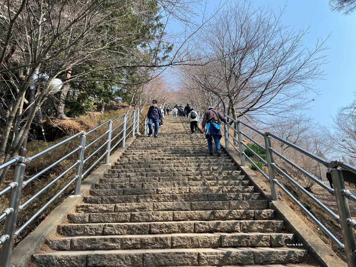 IMG_1150_調整大小.jpg IMG_1150_調整大小.jpg