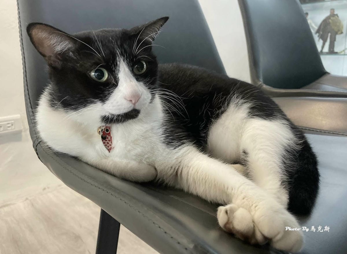 IMG_9337_調整大小.jpg IMG_9337_調整大小.jpg